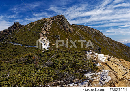 Climbers going along the ridgeline of Mt. Nishi Tengu and Mt. Yatsugatake / Mt. Climbers going along the ridgeline of Mt. Nishi Tengu and Mt. Yatsugatake / Mt. 78825954