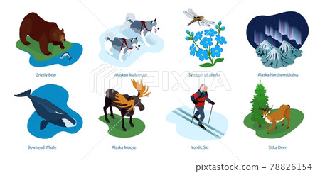 Alaska Isometric Compositions 78826154