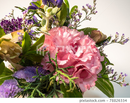June flowers Turkish bellflower Yugiri grass studio June flowers Turkish bellflower Yugiri grass studio 78826334
