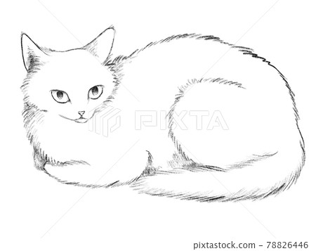 Cats in a barrel sitting Cats in a barrel sitting 78826446