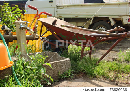 Unicycle, washroom, light tiger (landscape of farm horse) 78826688
