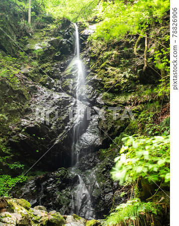 Akigawa Valley in early summer with a refreshing view of Ryujin Waterfall and mountain stream 78826906