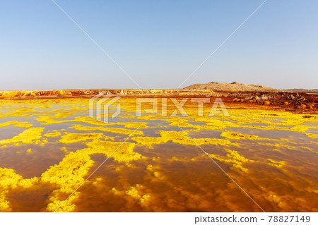Dallol Desert Dallol Landscape Dallol Desert Dallol Landscape 78827149