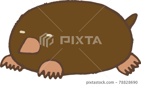 A mole 78828690