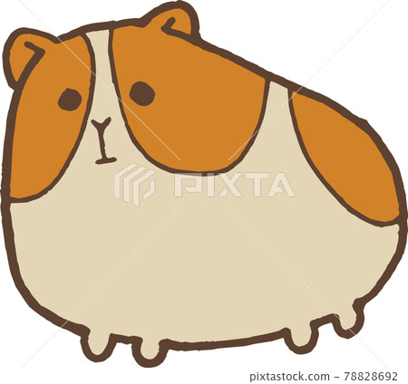 豚鼠 豚鼠 78828692