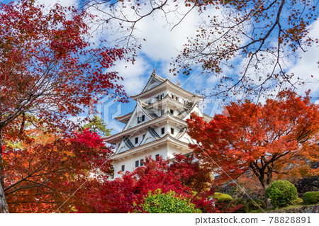 秋色中的郡上八幡城<岐阜縣郡上市> 秋色中的郡上八幡城<岐阜縣郡上市> 78828891