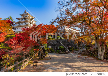 秋色中的郡上八幡城<岐阜縣郡上市> 秋色中的郡上八幡城<岐阜縣郡上市> 78828892