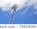 Utility poles under the cirrocumulus clouds in the blue sky 78829080