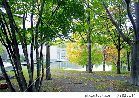 [北海道] 秋天的札幌藝術公園博物館和紅葉開始的樹木 78829114