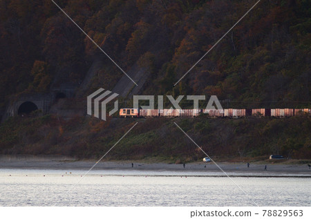 黃昏時分沿著噴發灣海岸線行駛的貨運列車 78829563