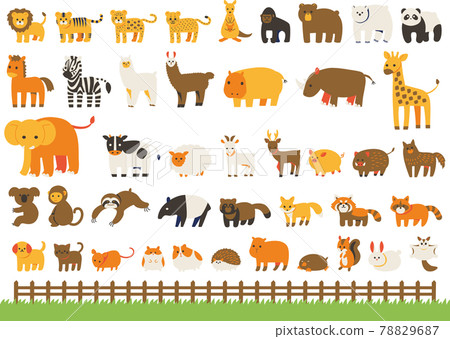 Animal (mammal) illustration set (no line) Animal (mammal) illustration set (no line) 78829687