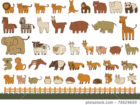 動物（哺乳動物）插畫套裝（手繪風格） 78829689