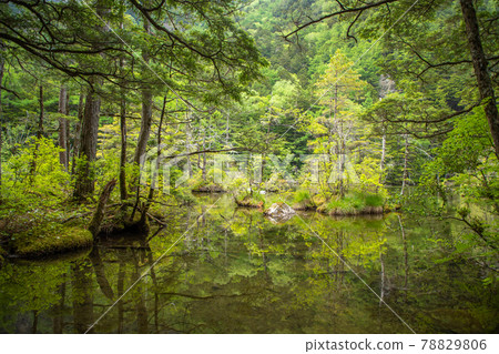 Kamikochi Misakisakei Kamikochi Misakisakei 78829806