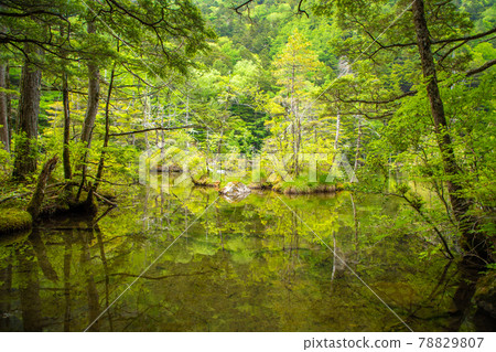 Kamikochi Misakisakei 78829807
