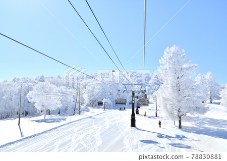 野澤溫泉滑雪場上野平坡（長野縣野澤溫泉村）[2021.2] 78830881
