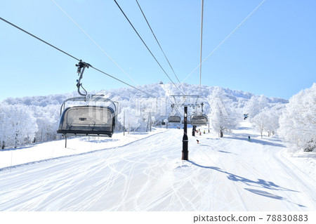 Nozawa Onsen Ski Resort Uenohira Slope (Nozawa Onsen Village, Nagano Prefecture) [2021.2] 78830883