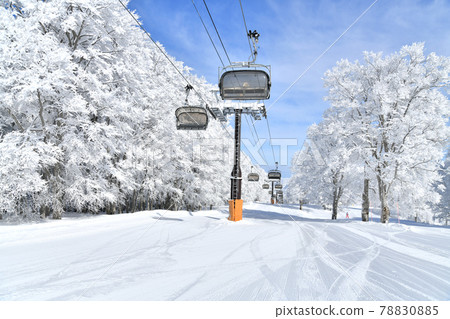 Nozawa Onsen Ski Resort Uenohira Slope (Nozawa Onsen Village, Nagano Prefecture) [2021.2] 78830885