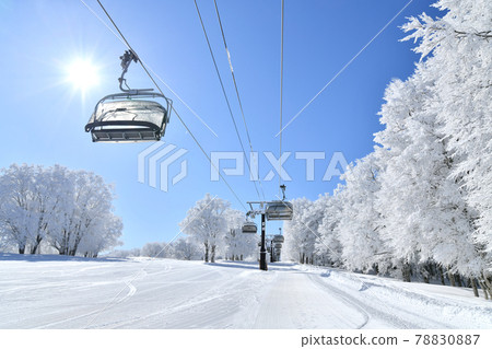 Nozawa Onsen Ski Resort Uenohira Slope (Nozawa Onsen Village, Nagano Prefecture) [2021.2] 78830887