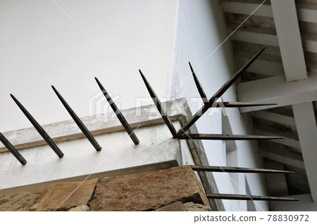 Kakegawa Castle 78830972