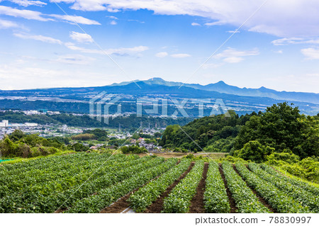 新鮮的綠色赤城山 78830997