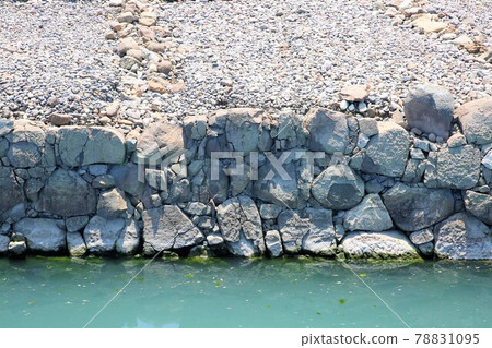 Sunpu Castle 78831095