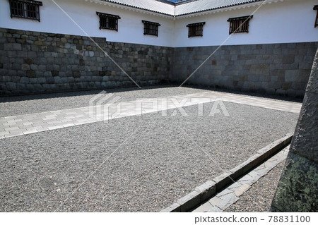 Sunpu Castle 78831100