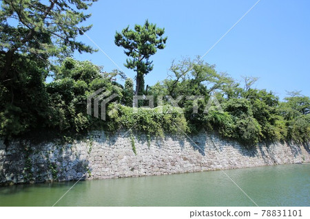 Sunpu Castle 78831101