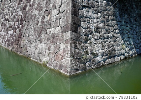 Sunpu Castle 78831102