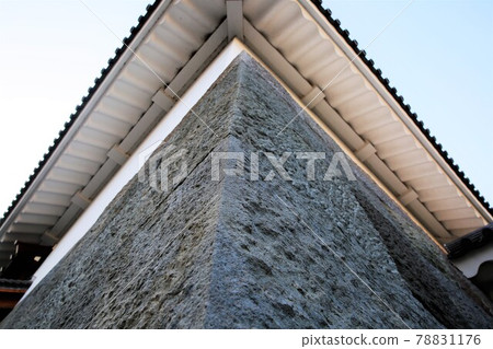 Sunpu Castle 78831176