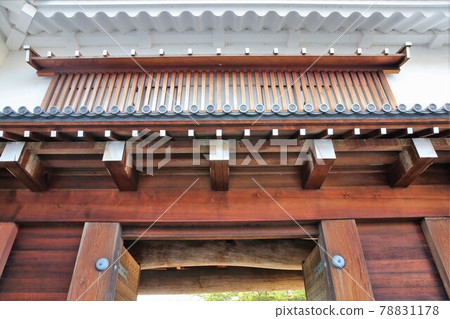 Sunpu城堡 78831178