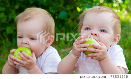 Twin girls eat apples in nature in the fresh air Twin girls eat apples in nature in the fresh air 78831326