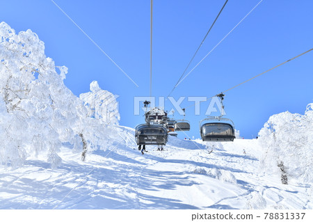 野澤溫泉滑雪場山美子四人纜車（長野縣野澤溫泉村）[2021.2] 78831337