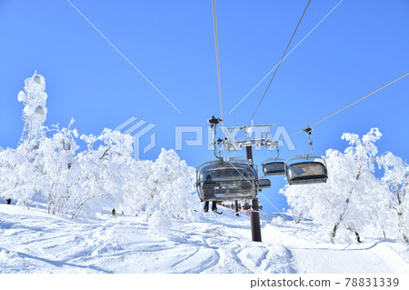 Nozawa Onsen Ski Resort Yamabiko Four Lift (Nozawa Onsen Village, Nagano Prefecture) [2021.2] 78831339