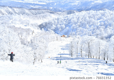 Nozawa Onsen Ski Resort Yamabiko Slope (Nozawa Onsen Village, Nagano Prefecture) [2021.2] 78831352