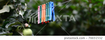 Clothespins on a rope hanging outside house and apple tree 78831532