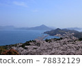 Iwagi Island seen from Kaisan 78832129