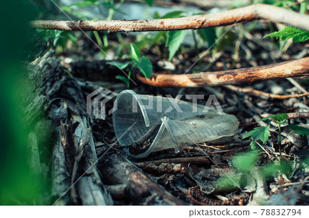 Plastic cup and trash in the forest. Environmental pollution. Environmental issue and disaster. Go Green, Zero Waste, Save the Planet, Earth Day, No Plastic, Recycling Concept Plastic cup and trash in the forest. Environmental pollution. Environmental issue and disaster. Go Green, Zero Waste, Save the Planet, Earth Day, No Plastic, Recycling Concept 78832794