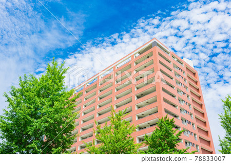 House, living, apartment image 78833007