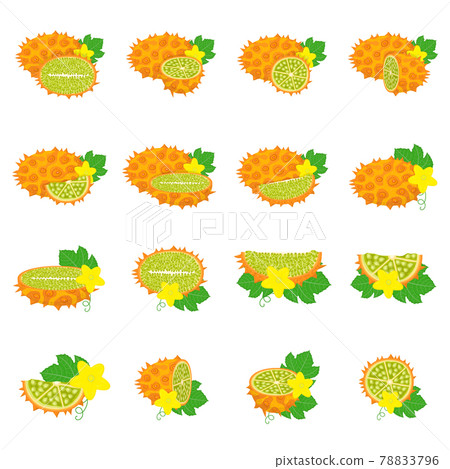 Set of fresh whole, half, cut slice kiwano fruits isolated on white background. Summer fruits for healthy lifestyle. Organic fruit. Cartoon style. Vector illustration for any design. 78833796