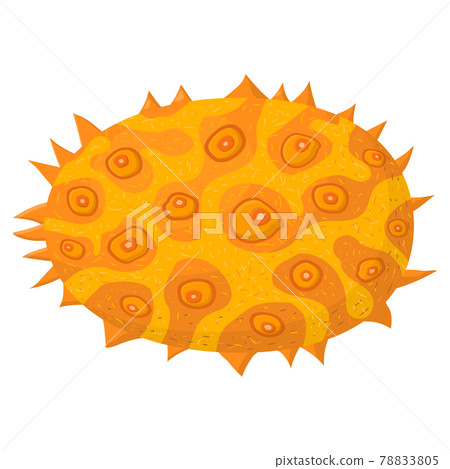 Fresh whole yellow kiwano fruit isolated on white background. Summer fruits for healthy lifestyle. Organic fruit. Cartoon style. Vector illustration for any design. 78833805