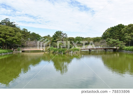 Meijo Park Dandruff Pond 78833806