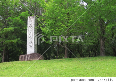 Stone monument in Kosenjo Park Stone monument in Kosenjo Park 78834119