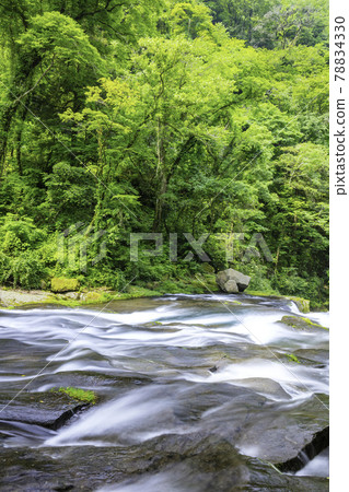 Beautiful Kikuchi Gorge, which has been selected as one of the 100 best waters in Japan (Kikuchi City, Kumamoto Prefecture) 78834330