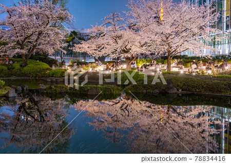 Roppongi Hills cherry at Mori Garden 78834416