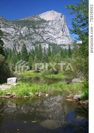 Half dome reflected in the Merced river water Half dome reflected in the Merced river water 78836003