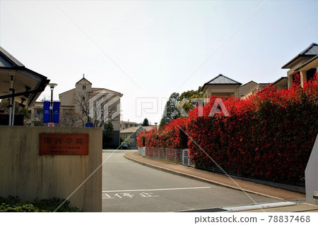 Kwansei Gakuin Nishinomiya Seiwa Campus 78837468