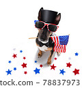 independence day 4th of july dog 78837973