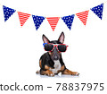 independence day 4th of july dog 78837975
