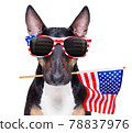 independence day 4th of july dog 78837976