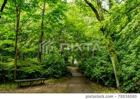 Omachi Park with abundant greenery near Ichikawa City Zoo and Botanical Garden in Omachi, Ichikawa City, Chiba Prefecture 78838080